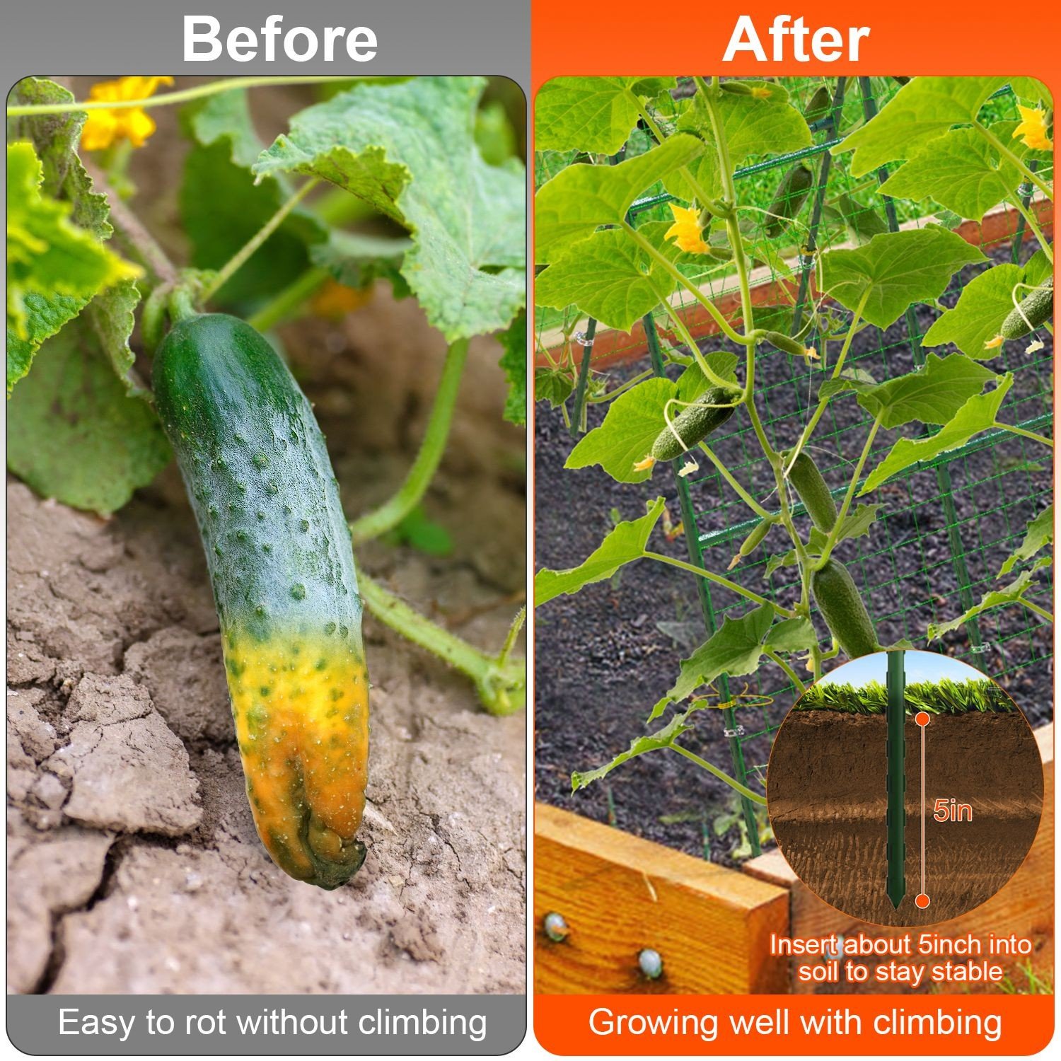 49*47*45" Cucumber Trellis for Raised Bed Arch Garden Trellis for Climbing Plant 730056002689| - Image 5