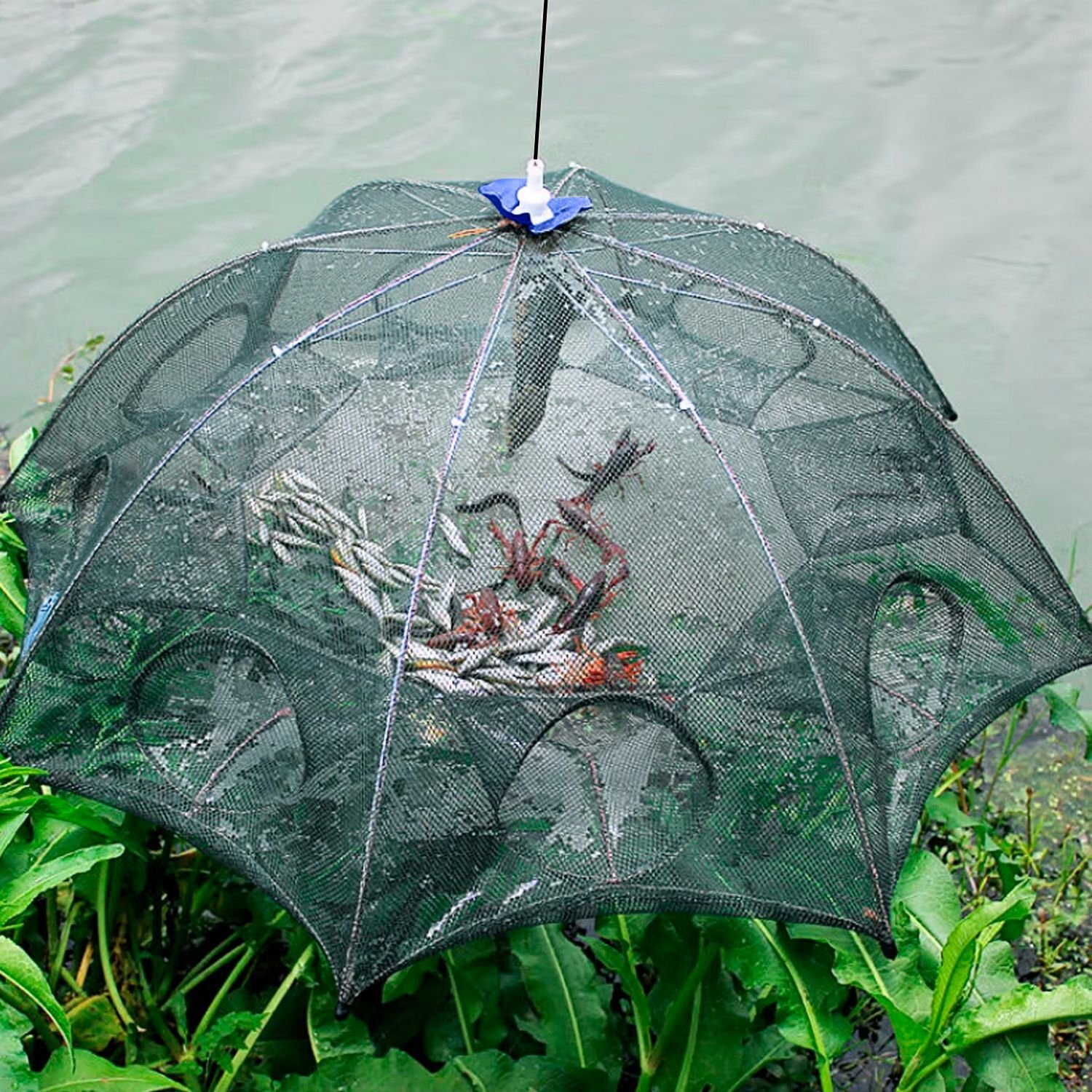 Foldable Nylon Fishing Bait Net Trap Crab Net Shrimp Fish Cast Dip Cage 8 Holes - Image 5