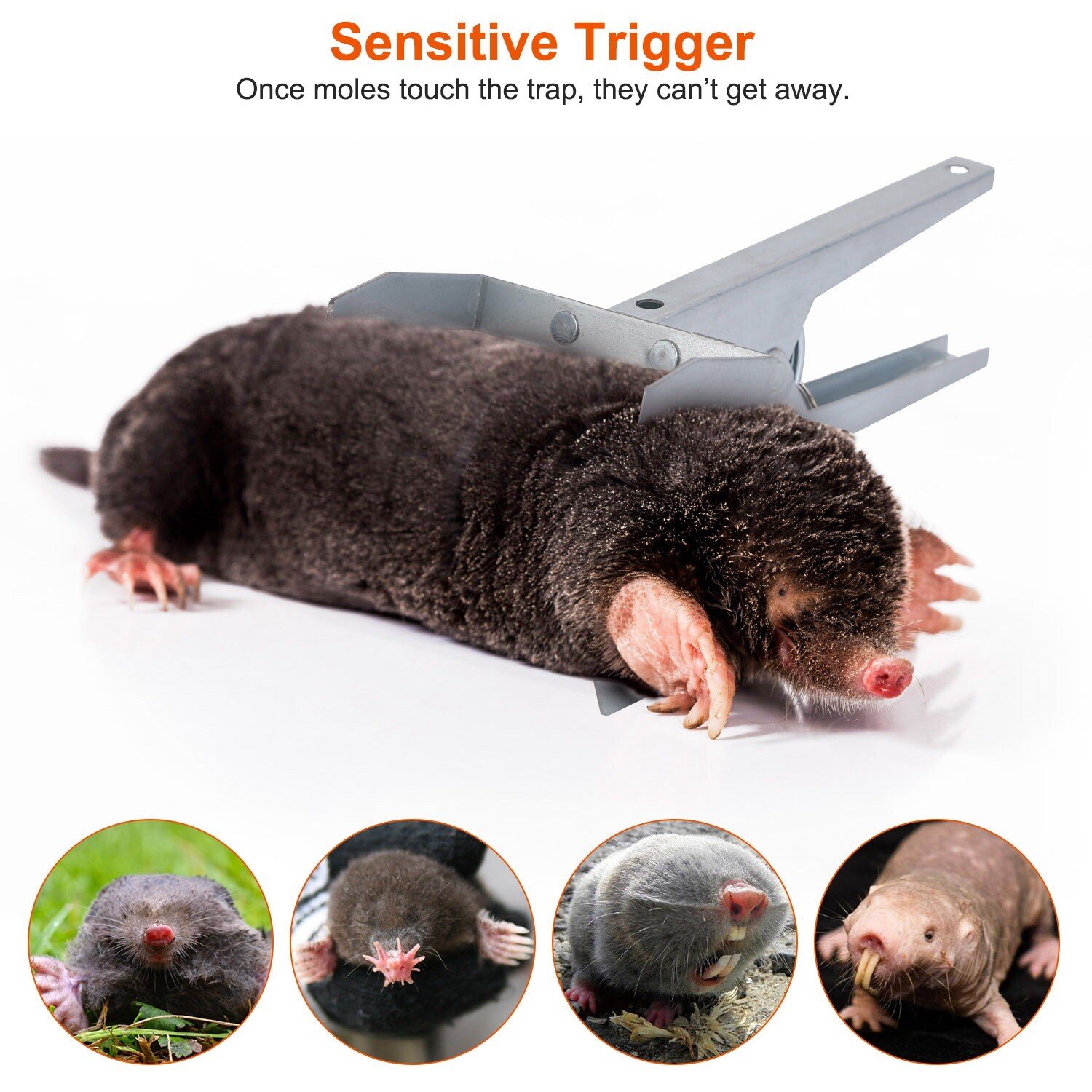 4 Packs Mole Traps W/ Scissor Jaw Mole Clip Repeller for Field Garden Reusable - Image 3