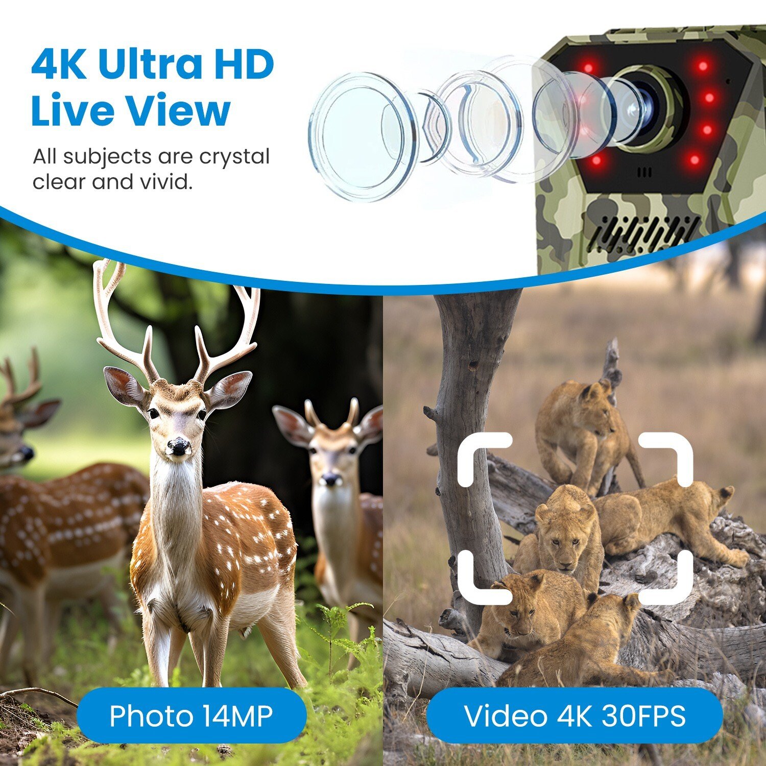 4G 14MP 4K Solar Trail Camera Hunting Night Vision Outdoor Wildlife Camera IP66 - Image 3