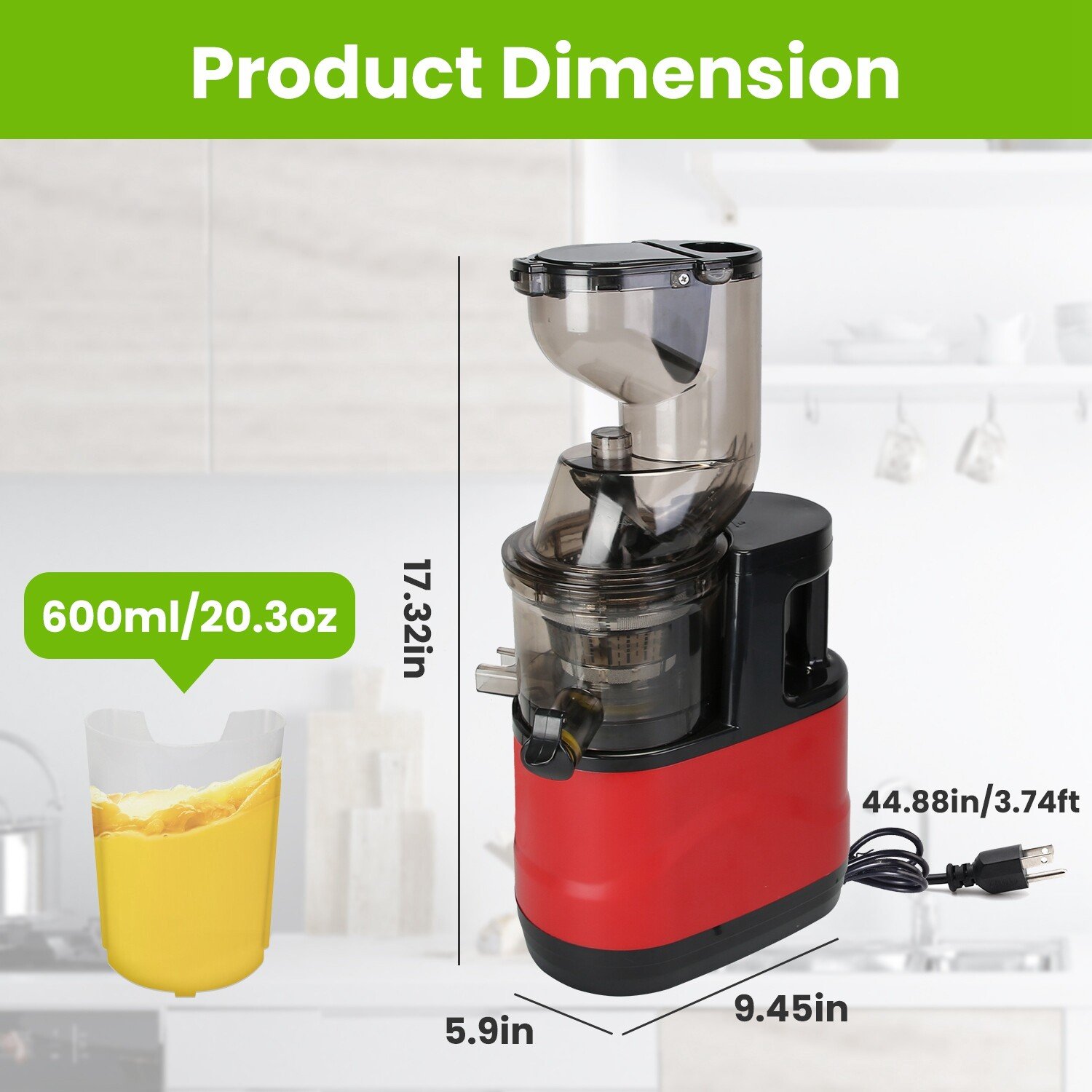 300W Juicer Machine Fruit Juicer Extractor Machine Cold Press Vegetable Juicer - Image 5