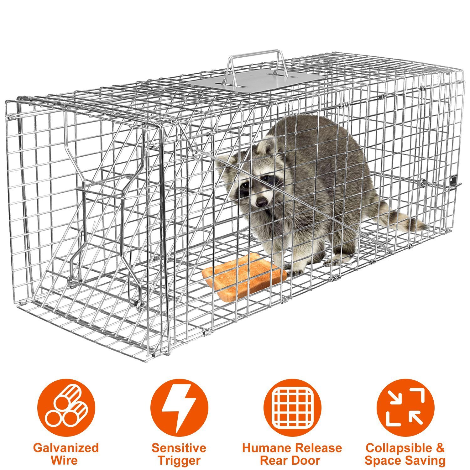 Large Humane Live Animal Trap Control Steel Cage 31"x11"x12" Raccoon Skunk Cat