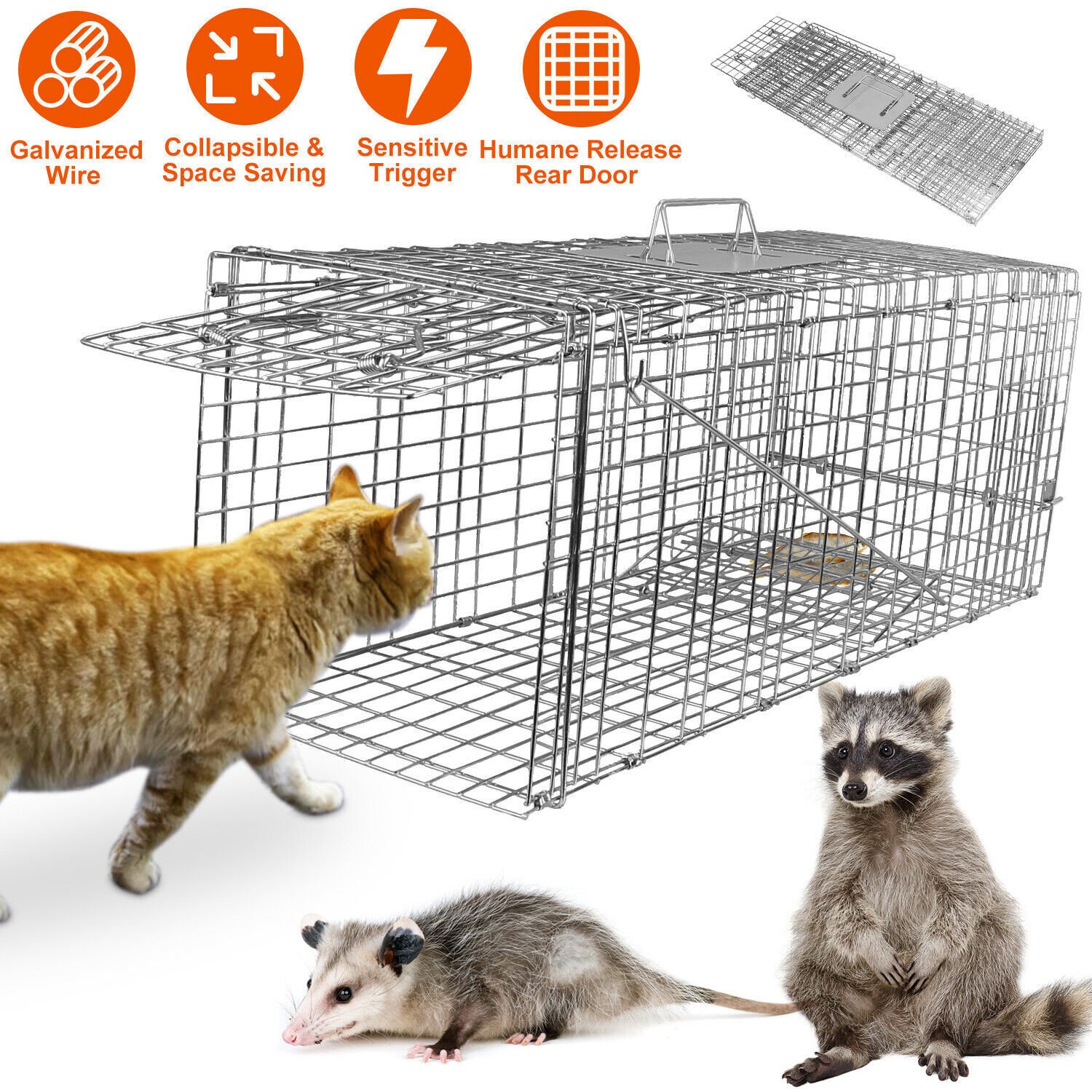 Large Humane Live Animal Trap Control Steel Cage 31"x11"x12" Raccoon Skunk Cat - Image 2