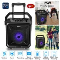 25W Portable Party Speaker System Colorful Disco Lighting Stereo Loud with Mic