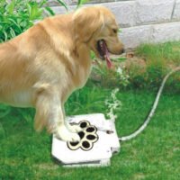 Pet Dog Step On Water Fountain Brass Valve Outdoor Water Dispenser Fresh System