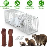 Large 31" Live Animal Cage Trap with Gloves Heavy Duty Folding Raccoon Traps