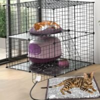 2 -Tiers Kennels Pet Crate Cat Cage Playpen with Waterproof Electric Heated Mat