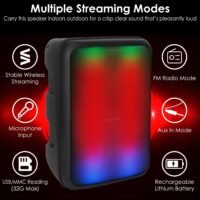 8in Portable Wireless Party Speaker FM Radio USB/TF Card/FM/AUX In w/ Mic Remote
