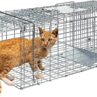 24 In Humane Live Animal Trap Steel Cage for Raccoons Groundhogs Mouse Squirrel